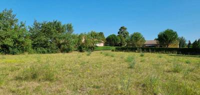 Terrain à Peyrens en Aude (11) de 976 m² à vendre au prix de 80000€ - 3