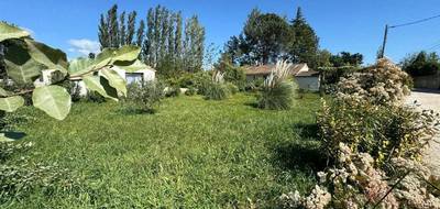 Terrain à Sénas en Bouches-du-Rhône (13) de 500 m² à vendre au prix de 149000€ - 3