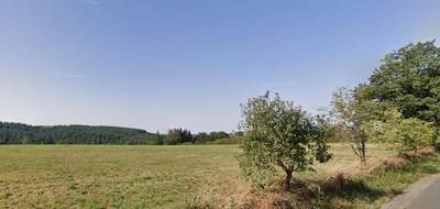 Terrain à Arpajon-sur-Cère en Cantal (15) de 1500 m² à vendre au prix de 42000€ - 1