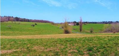 Terrain à Cublac en Corrèze (19) de 4900 m² à vendre au prix de 29500€ - 3