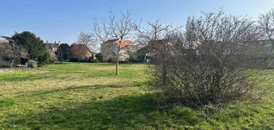 Terrain et maison à Sainte-Croix-en-Plaine en Haut-Rhin (68) de 110 m² à vendre au prix de 567000€ - 4