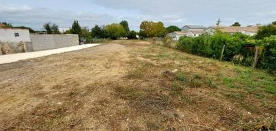 Terrain et maison à La Tremblade en Charente-Maritime (17) de 96 m² à vendre au prix de 485000€ - 4