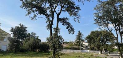 Terrain à Bollène en Vaucluse (84) de 353 m² à vendre au prix de 73000€ - 3