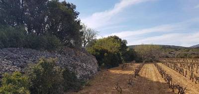 Terrain et maison à Caves en Aude (11) de 103 m² à vendre au prix de 293000€ - 4