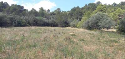 Terrain à Bize-Minervois en Aude (11) de 593 m² à vendre au prix de 86900€ - 2