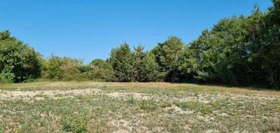 Terrain à Castelnaudary en Aude (11) de 646 m² à vendre au prix de 59900€ - 4