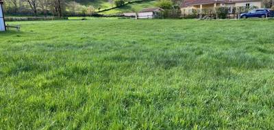 Terrain à Vézac en Cantal (15) de 5000 m² à vendre au prix de 55000€ - 1