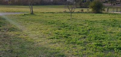 Terrain à Aubenas en Ardèche (07) de 900 m² à vendre au prix de 77000€ - 3