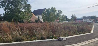 Terrain et maison à Zaessingue en Haut-Rhin (68) de 139 m² à vendre au prix de 560000€ - 3