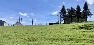 Terrain à Allassac en Corrèze (19) de 2000 m² à vendre au prix de 49000€ - 4