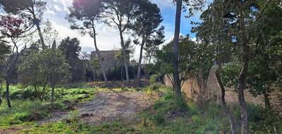 Terrain et maison à Cournonsec en Hérault (34) de 140 m² à vendre au prix de 709000€ - 4
