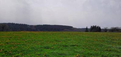 Terrain à Arpajon-sur-Cère en Cantal (15) de 1500 m² à vendre au prix de 42000€ - 4