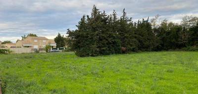 Terrain à Lapalud en Vaucluse (84) de 420 m² à vendre au prix de 76000€ - 3
