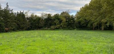 Terrain à Lapalud en Vaucluse (84) de 420 m² à vendre au prix de 76000€ - 1
