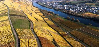 Terrain et maison à Faulquemont en Moselle (57) de 100 m² à vendre au prix de 258001€ - 3