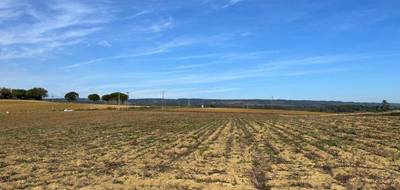 Terrain à Saint-Papoul en Aude (11) de 580 m² à vendre au prix de 78800€ - 4