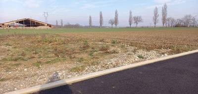 Terrain à Balgau en Haut-Rhin (68) de 450 m² à vendre au prix de 76500€ - 3
