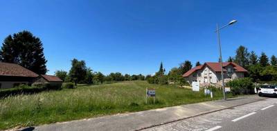 Terrain et maison à Burnhaupt-le-Bas en Haut-Rhin (68) de 110 m² à vendre au prix de 319763€ - 2