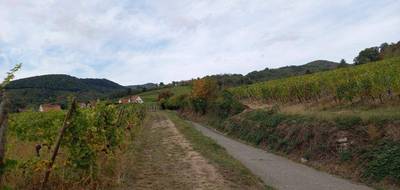 Terrain à Kaysersberg Vignoble en Haut-Rhin (68) de 490 m² à vendre au prix de 130000€ - 4