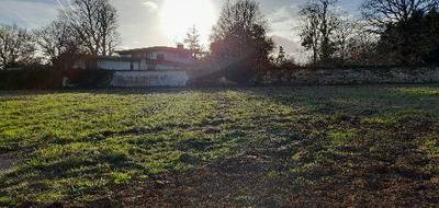 Terrain à Cognac en Charente (16) de 600 m² à vendre au prix de 67000€ - 1