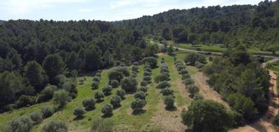 Terrain à Montouliers en Hérault (34) de 6530 m² à vendre au prix de 32000€ - 3
