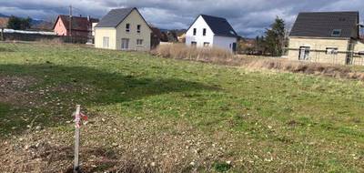 Terrain à Munwiller en Haut-Rhin (68) de 439 m² à vendre au prix de 94900€ - 2
