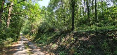 Terrain à Roquecourbe en Tarn (81) de 9330 m² à vendre au prix de 35000€ - 1