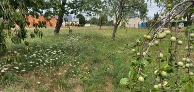 Terrain à Baugé-en-Anjou en Maine-et-Loire (49) de 1300 m² à vendre au prix de 54000€ - 3
