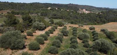 Terrain à Montouliers en Hérault (34) de 6530 m² à vendre au prix de 32000€ - 1