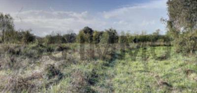 Terrain à Peyre en Landes (40) de 4350 m² à vendre au prix de 55000€ - 2