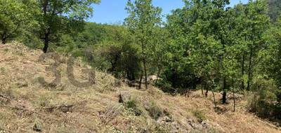 Terrain à Castellane en Alpes-de-Haute-Provence (04) de 3559 m² à vendre au prix de 97500€ - 3
