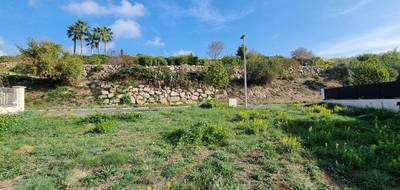 Terrain à Pézenas en Hérault (34) de 985 m² à vendre au prix de 285000€ - 3