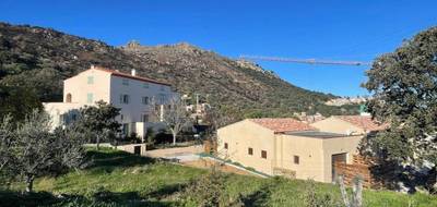 Terrain à Santa-Reparata-di-Balagna en Haute-Corse (2B) de 1197 m² à vendre au prix de 235000€ - 3