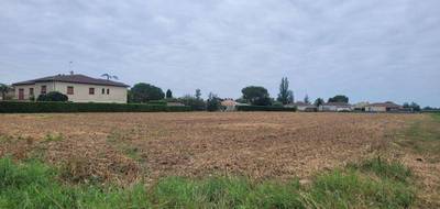 Terrain à Bourran en Lot-et-Garonne (47) de 7176 m² à vendre au prix de 48000€ - 2