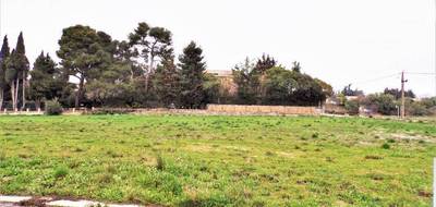 Terrain à Olonzac en Hérault (34) de 770 m² à vendre au prix de 51200€ - 1