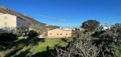 Terrain à Santa-Reparata-di-Balagna en Haute-Corse (2B) de 1197 m² à vendre au prix de 235000€ - 2