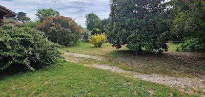 Terrain à Andernos-les-Bains en Gironde (33) de 0 m² à vendre au prix de 320000€ - 1