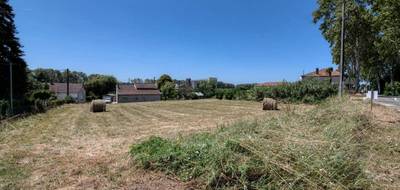 Terrain à Malause en Tarn-et-Garonne (82) de 2099 m² à vendre au prix de 49000€ - 2