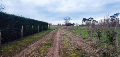 Terrain à Montpon-Ménestérol en Dordogne (24) de 7334 m² à vendre au prix de 169600€ - 3