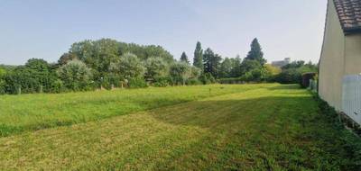 Terrain à Mansigné en Sarthe (72) de 1326 m² à vendre au prix de 23800€ - 3