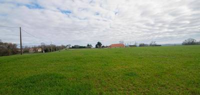 Terrain à Sempesserre en Gers (32) de 8000 m² à vendre au prix de 52000€ - 3