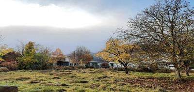 Terrain et maison à Soultz-Haut-Rhin en Haut-Rhin (68) de 350 m² à vendre au prix de 323800€ - 3