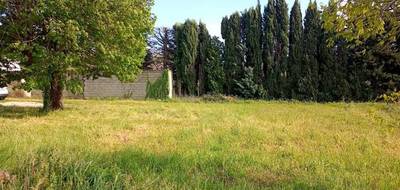 Terrain à Violès en Vaucluse (84) de 432 m² à vendre au prix de 99000€ - 1