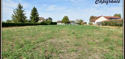 Terrain à Dornes en Nièvre (58) de 4368 m² à vendre au prix de 86000€ - 4