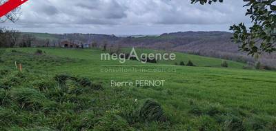 Terrain à Paulinet en Tarn (81) de 1134 m² à vendre au prix de 37000€ - 1