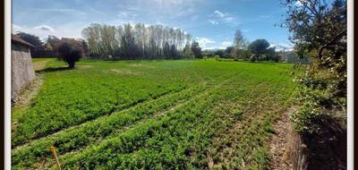 Terrain à Momères en Hautes-Pyrénées (65) de 2165 m² à vendre au prix de 108000€ - 3