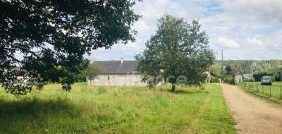Terrain à Jouet-sur-l'Aubois en Cher (18) de 1800 m² à vendre au prix de 21000€ - 1