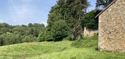 Terrain à Châteauneuf-la-Forêt en Haute-Vienne (87) de 12327 m² à vendre au prix de 66000€ - 3