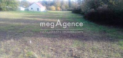 Terrain à Busigny en Nord (59) de 794 m² à vendre au prix de 17400€ - 3