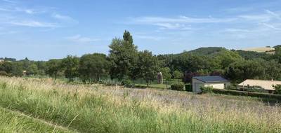 Terrain à Lauraguel en Aude (11) de 5533 m² à vendre au prix de 97200€ - 3